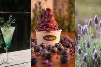 Cunha transforma a primavera em experiência com primeira Rota da Lavanda