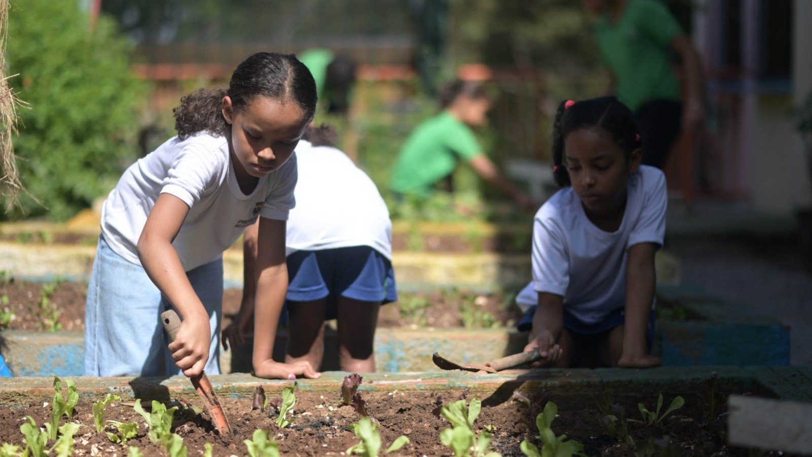 Alunos da Escola Municipal Salgado Filho, no Bairro Hava&iacute;, cuidando da horta