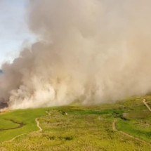 Incêndio destrói quase um quinto da Terra Indígena Maxakali em Minas