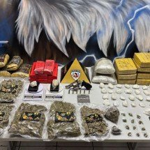 Mulher e adolescente são detidas com droga e R$ 200 mil em cheques - Divulgação/PMMG