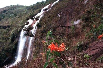 Casal morre ao cair de cachoeira de 85 metros em Minas