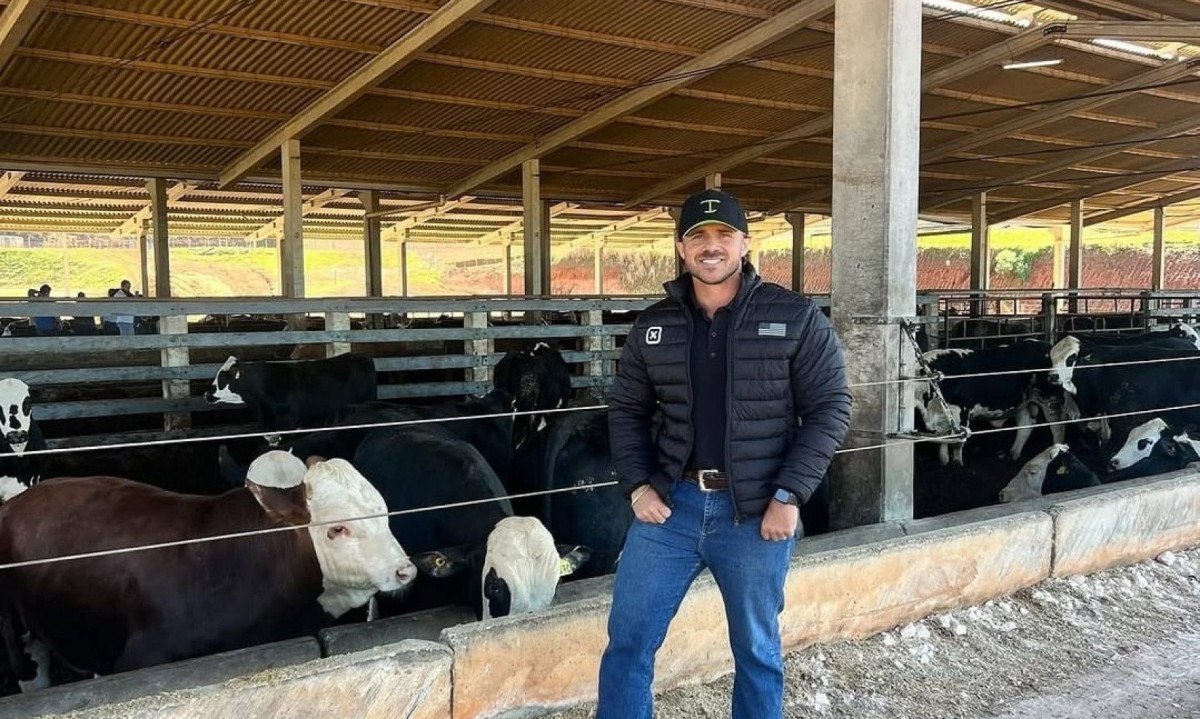 Falhas no manejo de bovinos podem gerar prejuízos de milhares a pecuaristas - (crédito: PulseBrand)