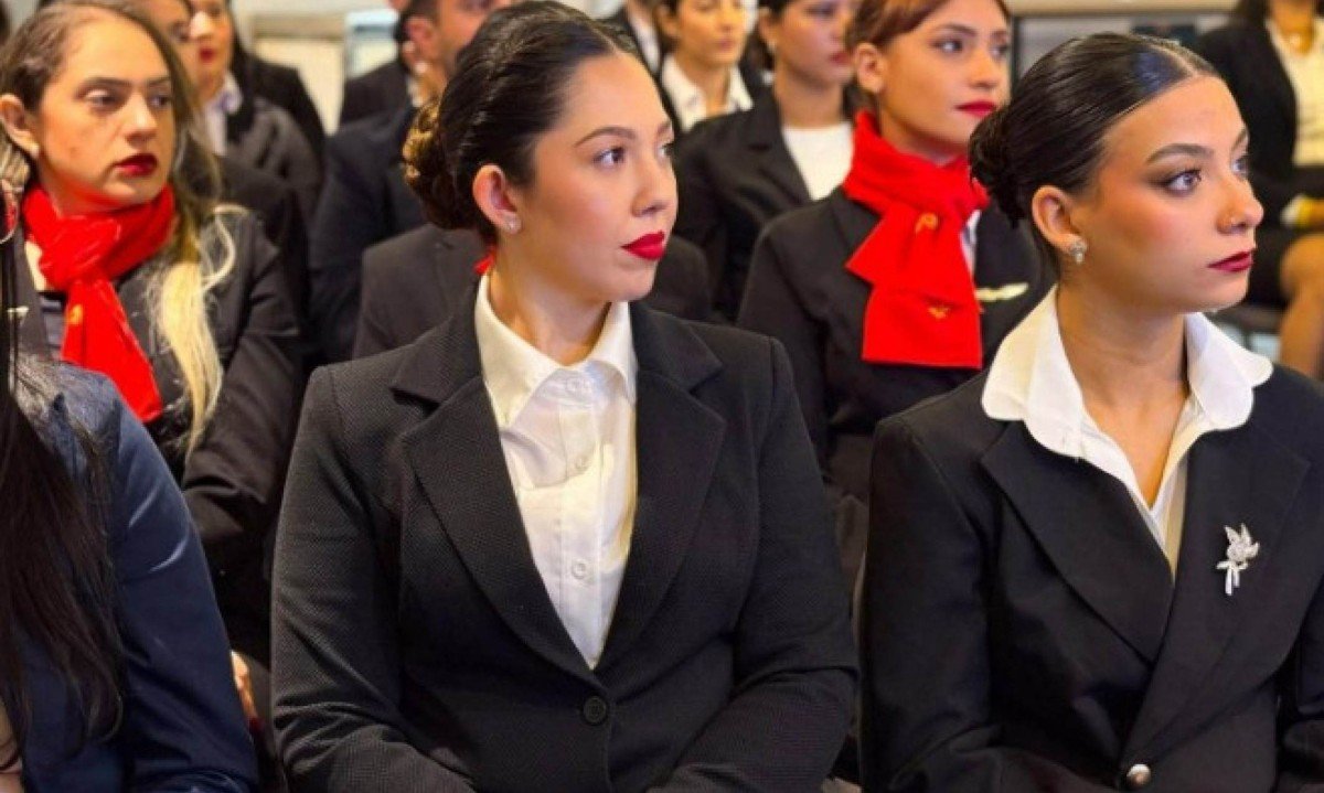 Avião desviado por emergência médica: com que frequência acontece e quem decide - (crédito: PulseBrand)