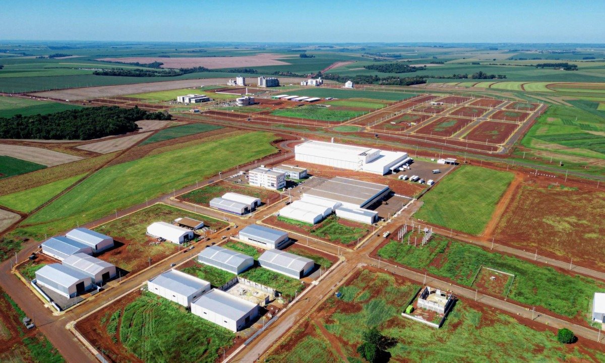 Biopark aposta em 100 mil bolsas para impulsionar economia no interior do PR - (crédito: PulseBrand)