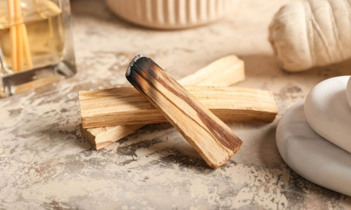 Banho de Palo Santo: Ritual de Purificação no seu Corpo - (crédito: Wemystic)