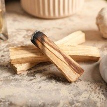 Banho de Palo Santo: Ritual de Purificação no seu Corpo - Wemystic