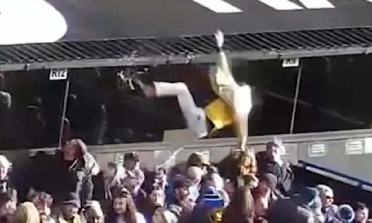 Torcedor bebe cinco cervejas, cai da arquibancada sobre casal e é julgado por agressão; veja decisão - (crédito: No Ataque Internacional)