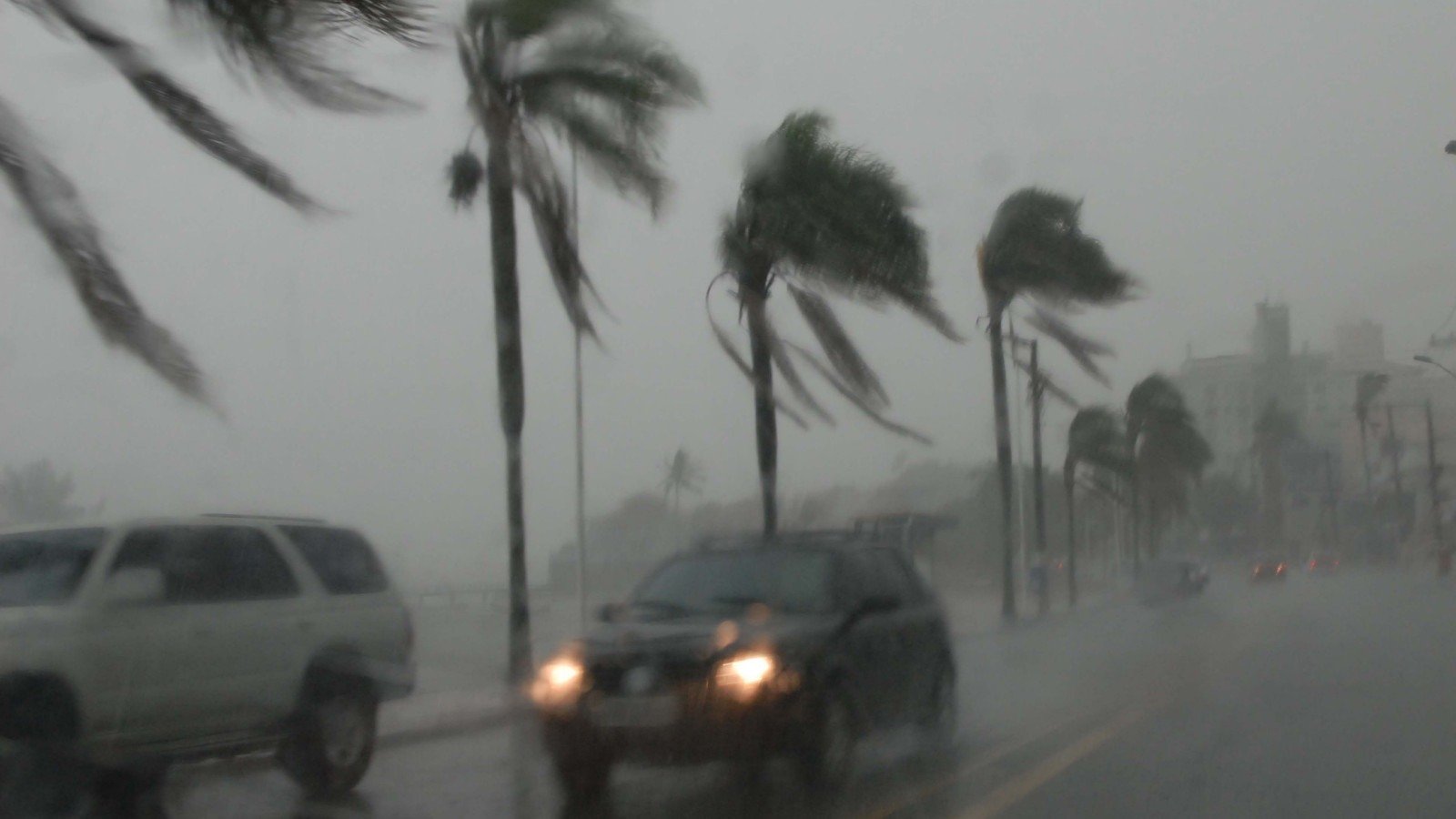 Pa&iacute;s pode registrar fortes rajadas de vento com a forma&ccedil;&atilde;o de ciclone extratropical e frente fria -  (crédito: Daniel Conzi/Diario Catarinens)