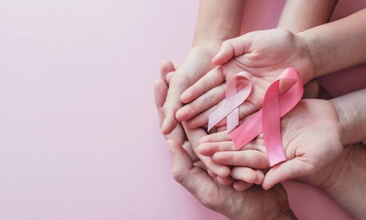 Para mulheres de 50 a 74 anos ou sintomas suspeitos, a recomendação é rastrear a cada dois anos - (crédito: Pixabay)