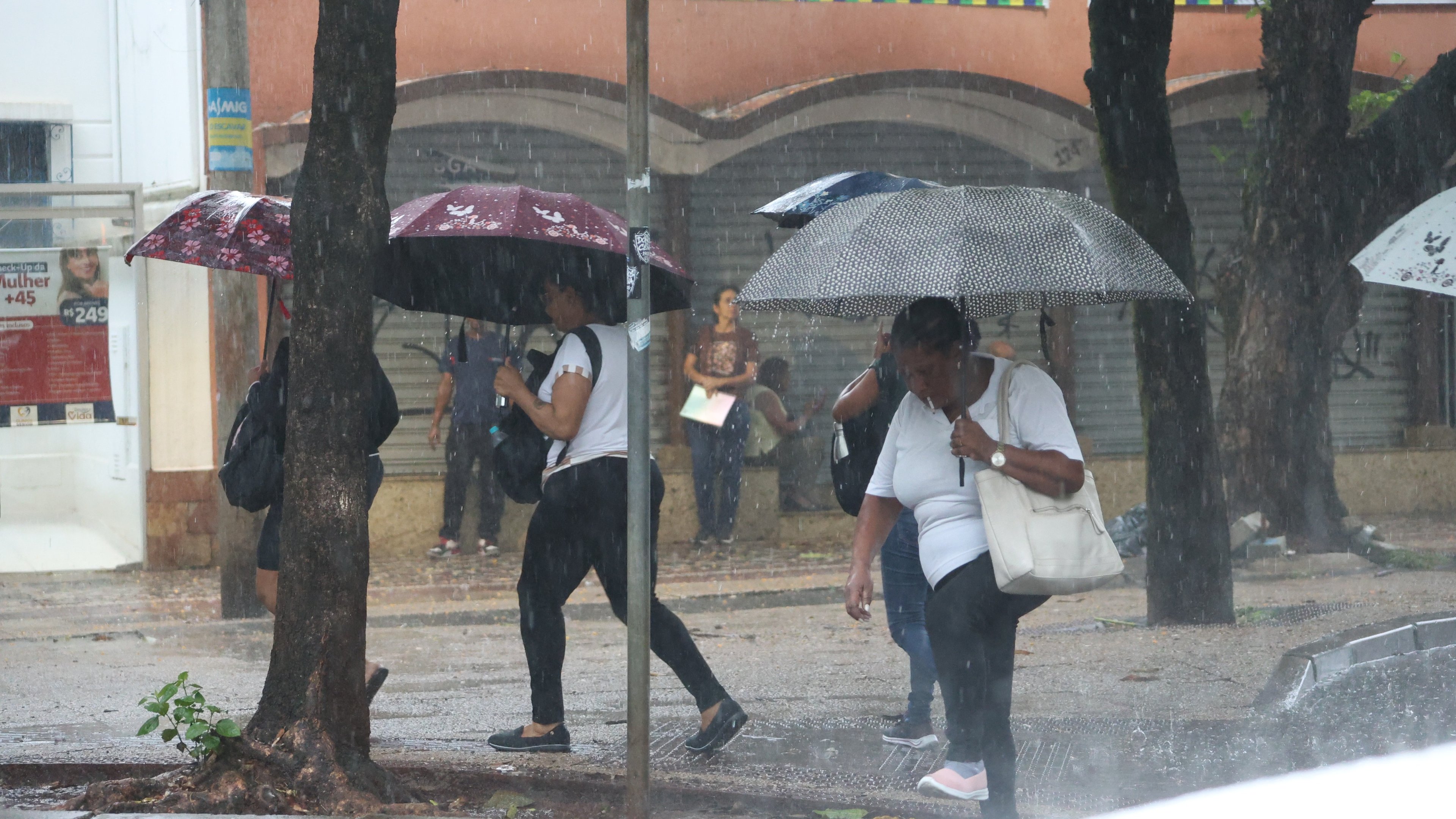Moradores de Belo Horizonte enfrentam o dia chuvoso com guarda-chuvas pelas ruas da capital -  (crédito: Marcos Vieira /EM/DA. Press)