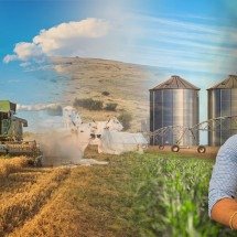 Agronegócio Mais Inteligente: Como Produtores Rurais Estão Blindando Suas Fazendas Contra Novas Crises
