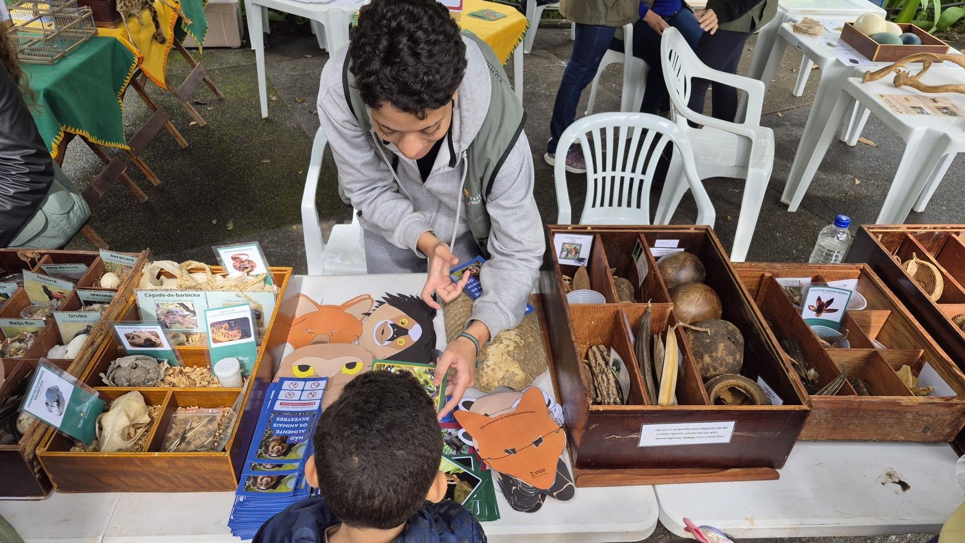 Jovem interage com crian&ccedil;a em exposi&ccedil;&atilde;o de esp&eacute;cimes naturais, destacando a divulga&ccedil;&atilde;o cient&iacute;fica do evento Fiocruz para Voc&ecirc; -  (crédito: L&iacute;via Ansaloni)