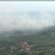 Por que os incêndios se espalharam pelo Amazonas? Veja as principais causas - Tupi