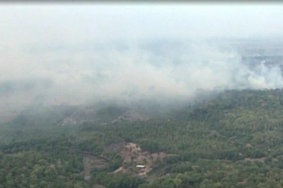 Por que os incêndios se espalharam pelo Amazonas? Veja as principais causas -  (crédito: Tupi)