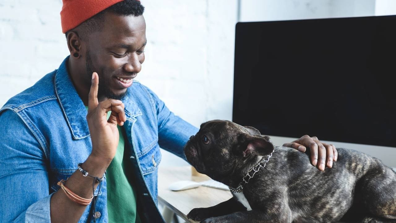 A intera&ccedil;&atilde;o com pets reflete a percep&ccedil;&atilde;o do animal sobre as emo&ccedil;&otilde;es e postura do tutor, influenciando seu comportamento -  (crédito: Cr&eacute;ditos: depositphotos.com / AndrewLozovyi)