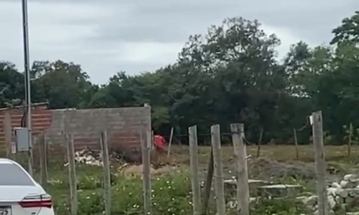 Homem é flagrado fugindo de presídio em Governador Valadares - (crédito: Reprodução/Redes Sociais)
