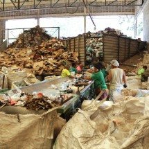 COP31: catadores de 7 estados se reúnem em BH para elaborar Carta Climática - Zoe di Cadore/Acervo Fundo Brasil