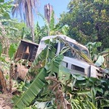 BR-381: motorista joga caminhão em barranco e evita tragédia - Alexandre Guzanshe/EM/D.A Press