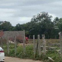 Vídeo: detento pula cerca e foge de presídio em Governador Valadares  - Reprodução/Redes Sociais