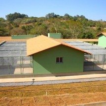 MG: vírus em aves resulta em suspensão de atendimento à animais - Semad / Divulgação