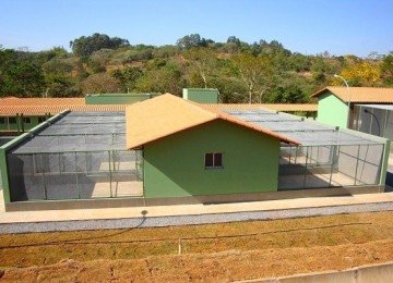 O Cetras de Patos de Minas suspendeu o recebimento de animais após algumas aves testarem positivo para o circovírus -  (crédito: Semad / Divulgação)
