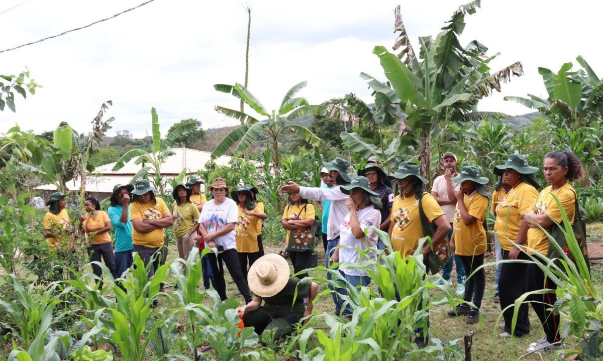 Projeto busca fortalecer práticas sustentáveis e ampliar o acesso das comunidades a conhecimentos relacionados a agroecologia, recuperação ambiental e tecnologias sociais - (crédito: Rede/Divulgação)