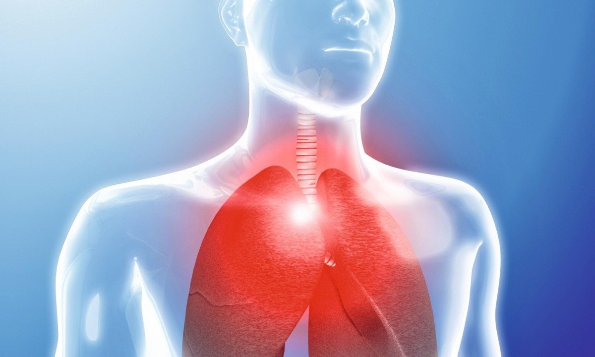 Doença cardiopulmonar é desconhecida por 62% dos brasileiros - (crédito: DINO)
