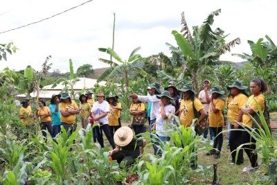 Projeto busca fortalecer práticas sustentáveis e ampliar o acesso das comunidades a conhecimentos relacionados a agroecologia, recuperação ambiental e tecnologias sociais -  (crédito: Rede/Divulgação)