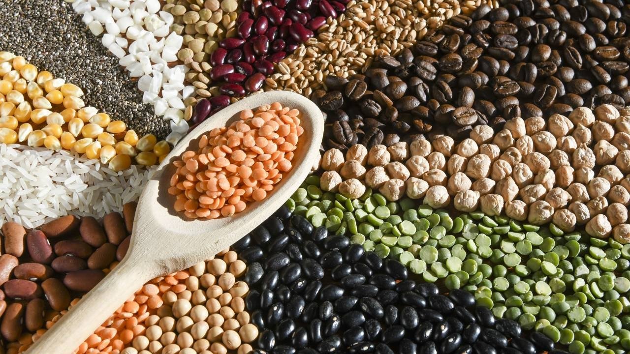 Variedade de cereais e leguminosas refor&ccedil;a a base de uma alimenta&ccedil;&atilde;o saud&aacute;vel e nutritiva para o organismo -  (crédito: Cr&eacute;ditos: depositphotos.com / celsopupo)