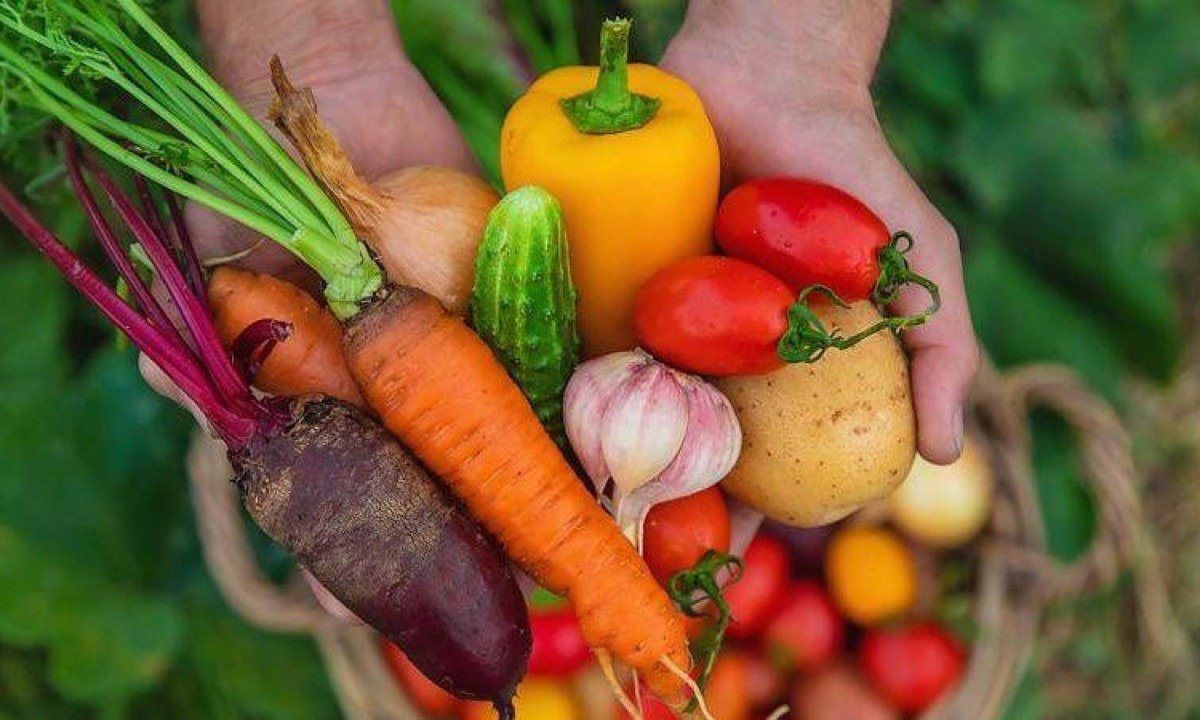 A manga é rica em antioxidantes e pesquisas indicam que ela pode reduzir os sinais visíveis do envelhecimento - (crédito: Getty Images)