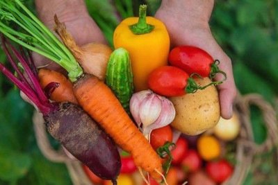 A manga é rica em antioxidantes e pesquisas indicam que ela pode reduzir os sinais visíveis do envelhecimento -  (crédito: Getty Images)