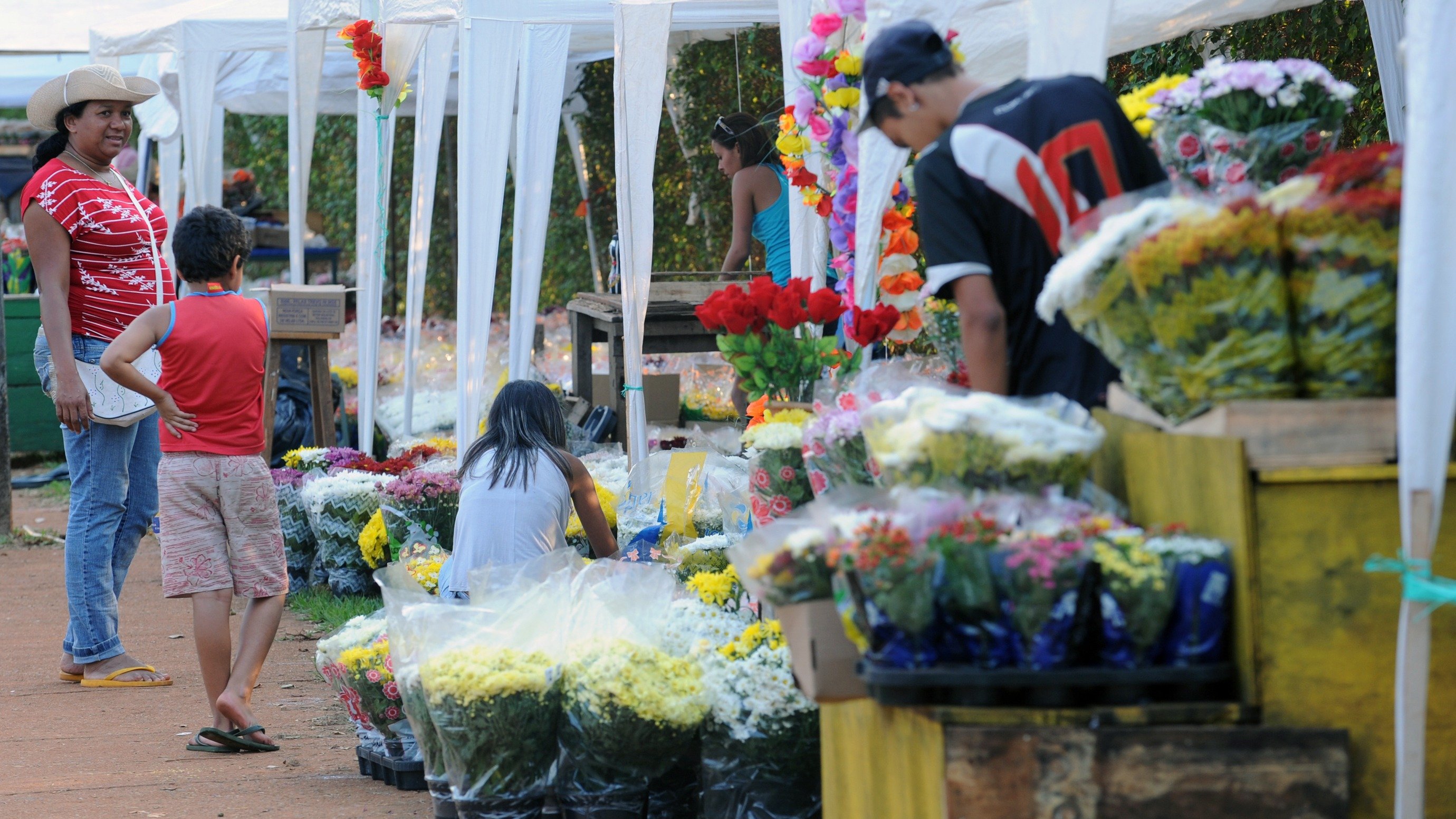 Vendedores de flores se preparam para o Dia de Finados, operando sob regras da prefeitura de Belo Horizonte -  (crédito: 
Fabio Rodrigues Pozzebom/ABr)