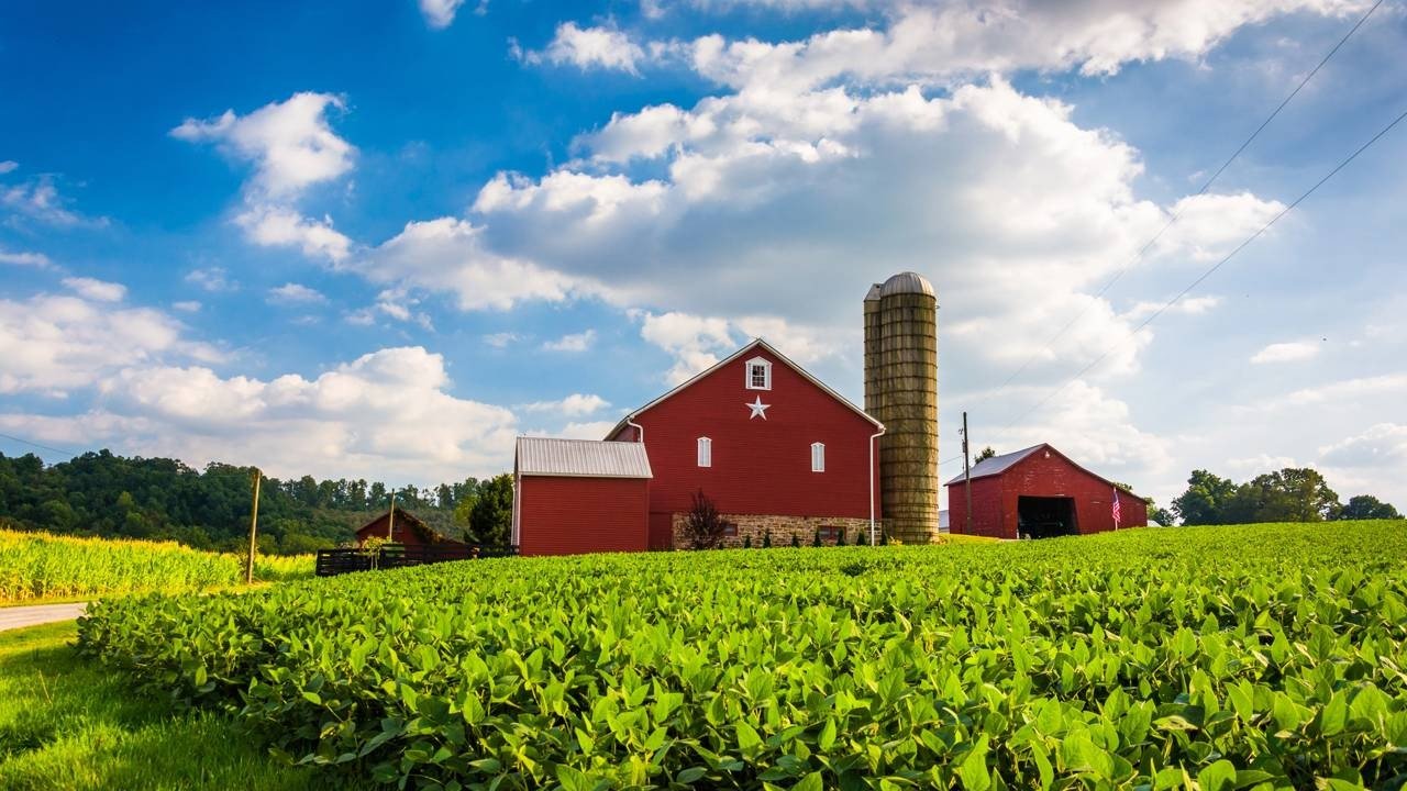 Produtor rural opta por proteger fazenda de 164 acres em Ont&aacute;rio com servid&atilde;o de conserva&ccedil;&atilde;o para garantir terras agricult&aacute;veis -  (crédito: depositphotos.com / jonbilous)