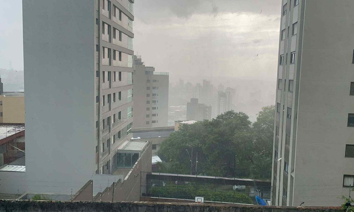 Chuva forte com ventania intensa derrubou árvores e até telhados de garagens em Belo Horizonte - (crédito: Mateus Parreiras/EM/D.A.Press)