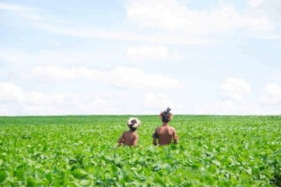 'Ava marangatu', curta produzido pelo Coletivo de Cinema Guahu'i Guyra, será exibido nesta terça-feira
 -  (crédito: Coletivo Guahu'i Guyra/Divulgação)