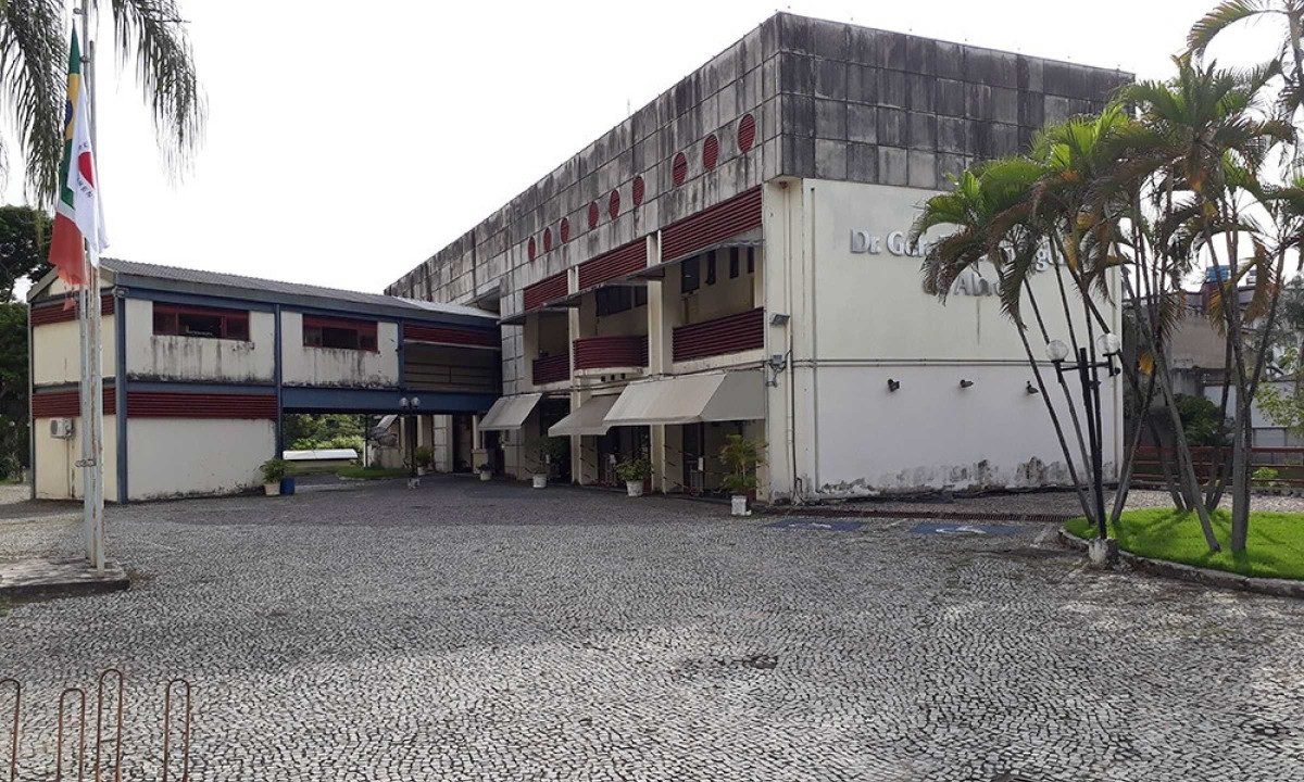Decisão é da juíza Marina Souza Lopes Ventura Aricodemes, da Comarca de Timóteo - (crédito: Divulgação/TJMG)