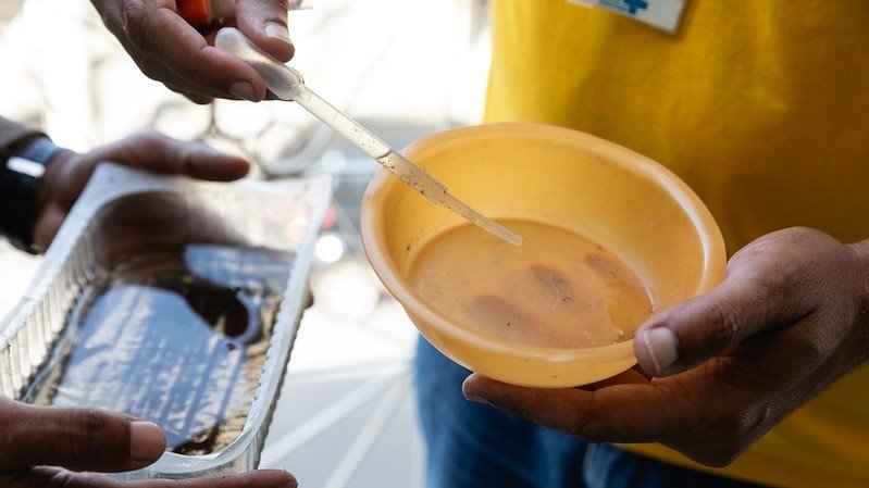 A prepara&ccedil;&atilde;o do M&eacute;todo Wolbachia envolve o manejo cuidadoso dos mosquitos Aedes aegypti, como mostra a transfer&ecirc;ncia de larvas -  (crédito: Luci Sallum/PMC)