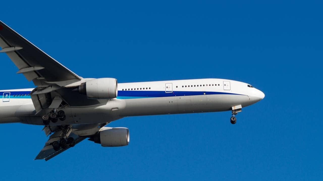 A Boeing precisava testar o wifi nos aviões em 2012, mas encontrou uma forma inesperada de simular passageiros usando nove toneladas de um alimento comum - depositphotos.com / motive56
