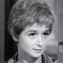 Morre Barbara Barrie, atriz indicada ao Oscar e ao Emmy, aos 95 anos - Wikipedia