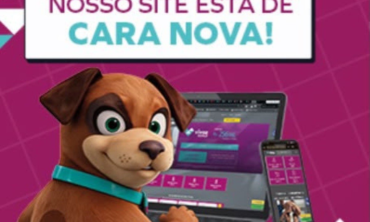 Novo site da Vivaz amplia a experiência de compra - (crédito: DINO)