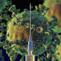 Cientistas criam vacina que pode proteger de vários tipos de coronavírus - Getty Images