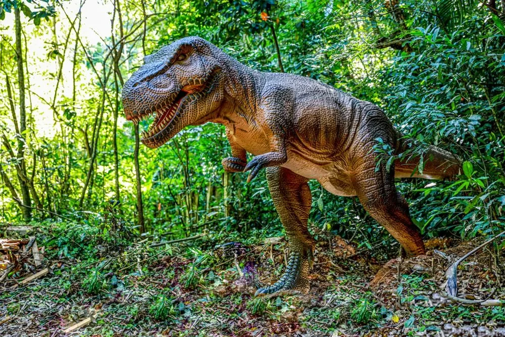 Pesquisadores identificam nova espécie de dinossauro em Araraquara - Divulgação/Serra Azul MP