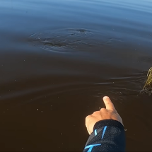 Homem trava batalha com peixe gigante da Amazônia: ‘Tive medo’ - reprodução youtube