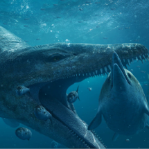 O 'tiranossauro subaquático' descoberto em penhasco na Inglaterra - BBC Studios