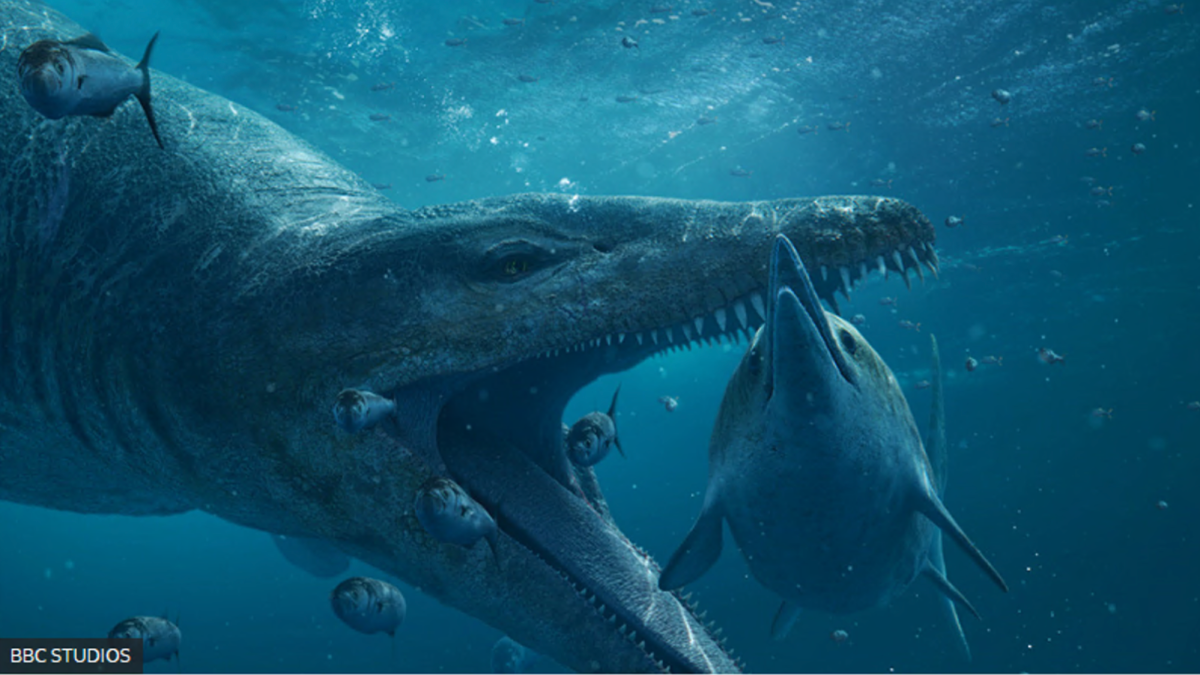 O 'tiranossauro subaquático' descoberto em penhasco na Inglaterra