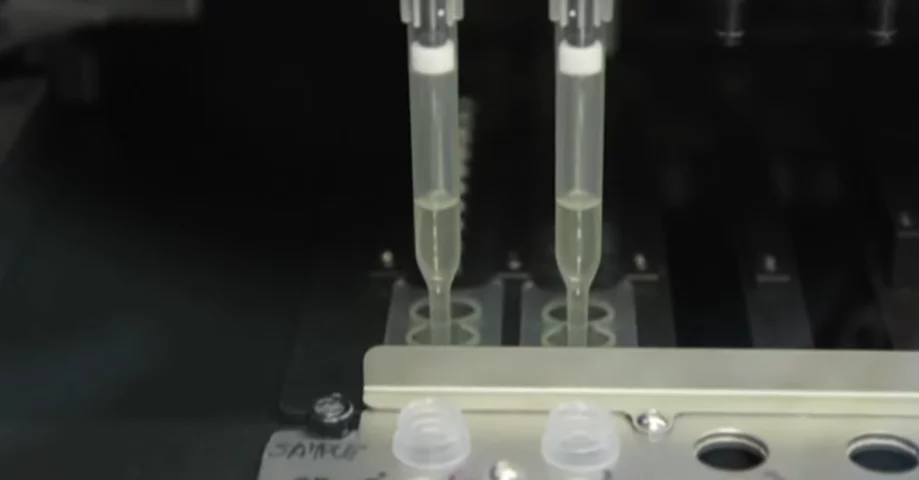 Após sucessivas mortes,  cientistas vão testar vacina contra Fentanil em humanos - reprodução CNN