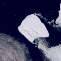 Satélite mostra maior iceberg do mundo em movimento - Copernicus/Sentinel-3/Divulgação