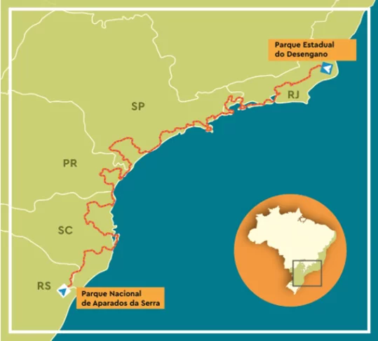 4 mil km de extensão: Quem encara a maior trilha do Brasil? - Reprodução caminhodamataatlantica.org,br