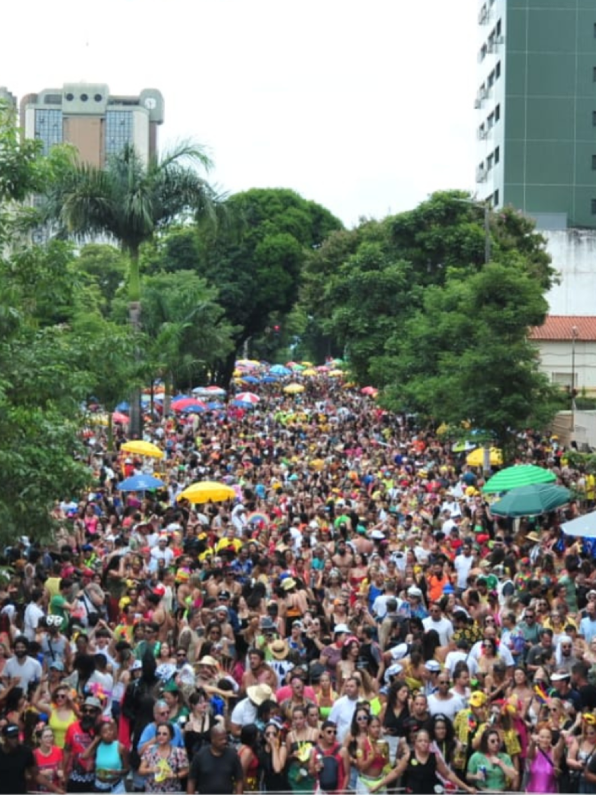 Carnaval em Minas: blocos reuniram 12 milhões de foliões