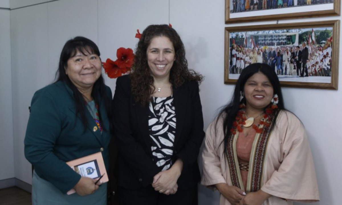 Ministra da Gestão e da Inovação, Esther Dweck com Sonia Guajajara (min. Povos Indígenas - dir.) com a presidente da Funai, Joênia Wapichana -  (crédito: Reprodução/MGI)